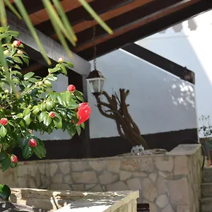 https://apartments-villa-verde-premantura.in-istria.net